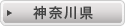 �_�ސ쌧